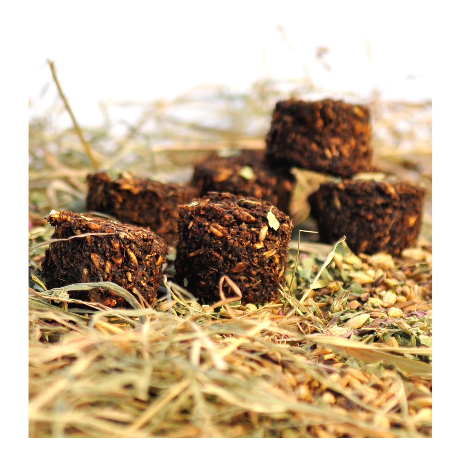 Stud Muffins Stud Muffins Winterliche Geschmacksrichtung