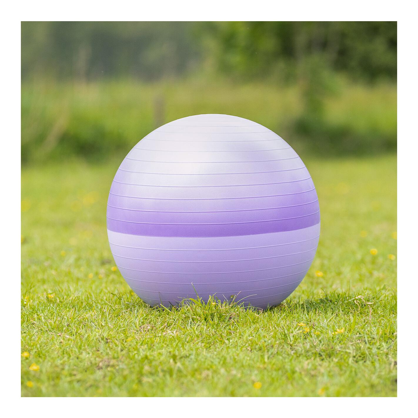 QHP Pferdefussball two-tone