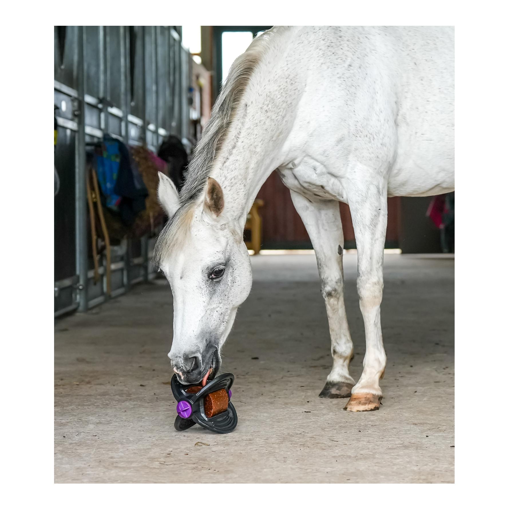 Bizzy Horse Bizzy Ball - pink