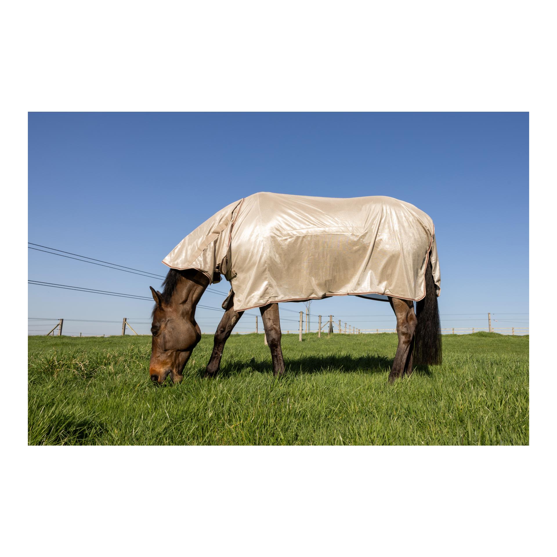 Kentucky Fliegendecke Comfort Classic mit Halsteil & Bauch