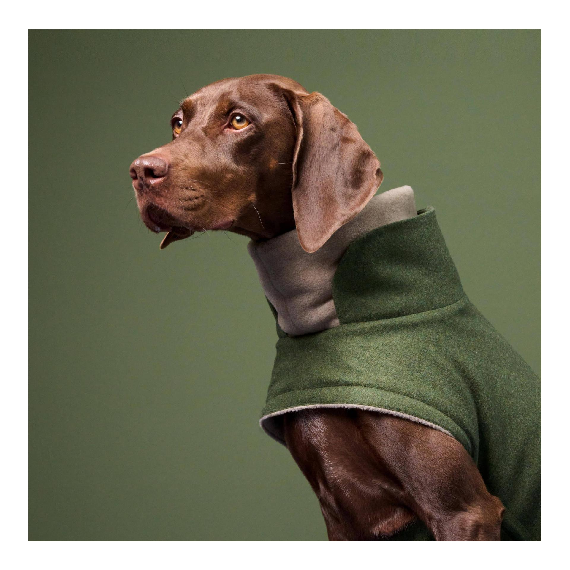 Cloud 7 Manteau pour chien Brooklyn - fern green