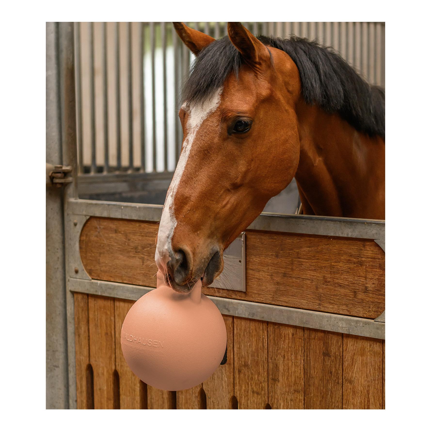 Waldhausen Fun Ball