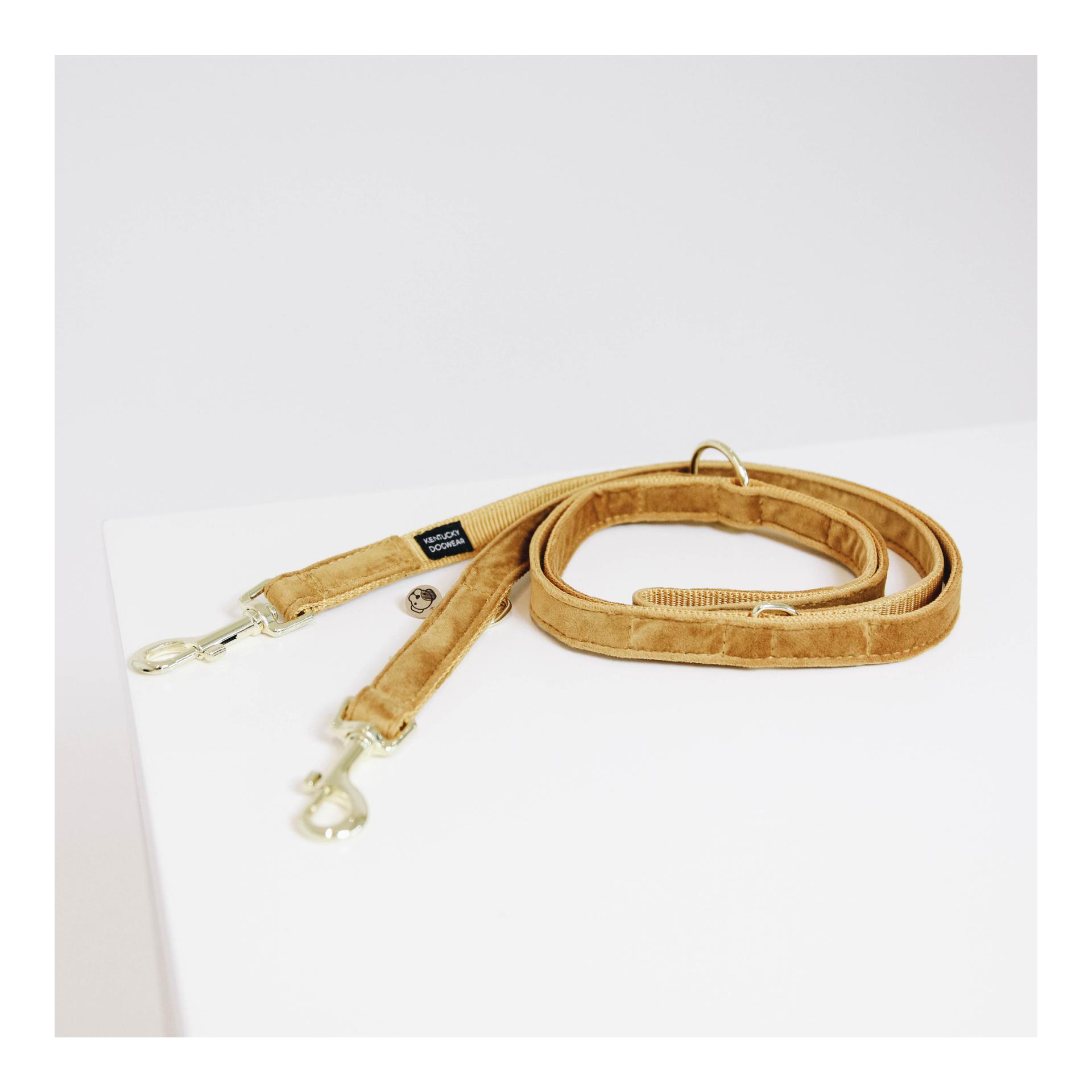 Kentucky Dogwear Hundeleine Velvet - mustard