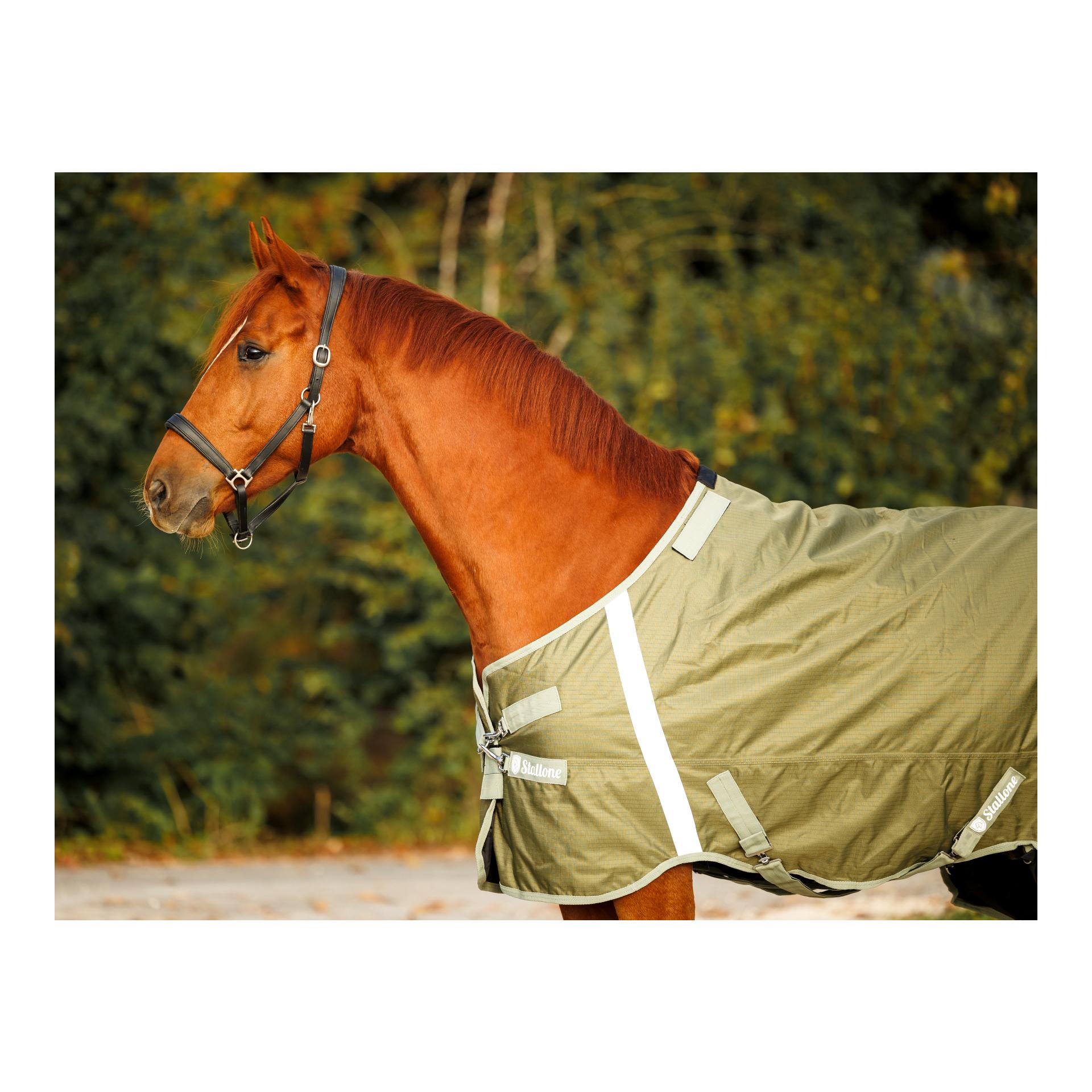 Stallone Weidedecke 50 g Outdoor Guard