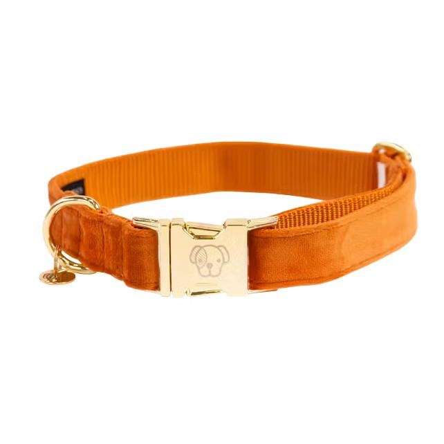 Kentucky Dogwear Hundehalsband velvet
