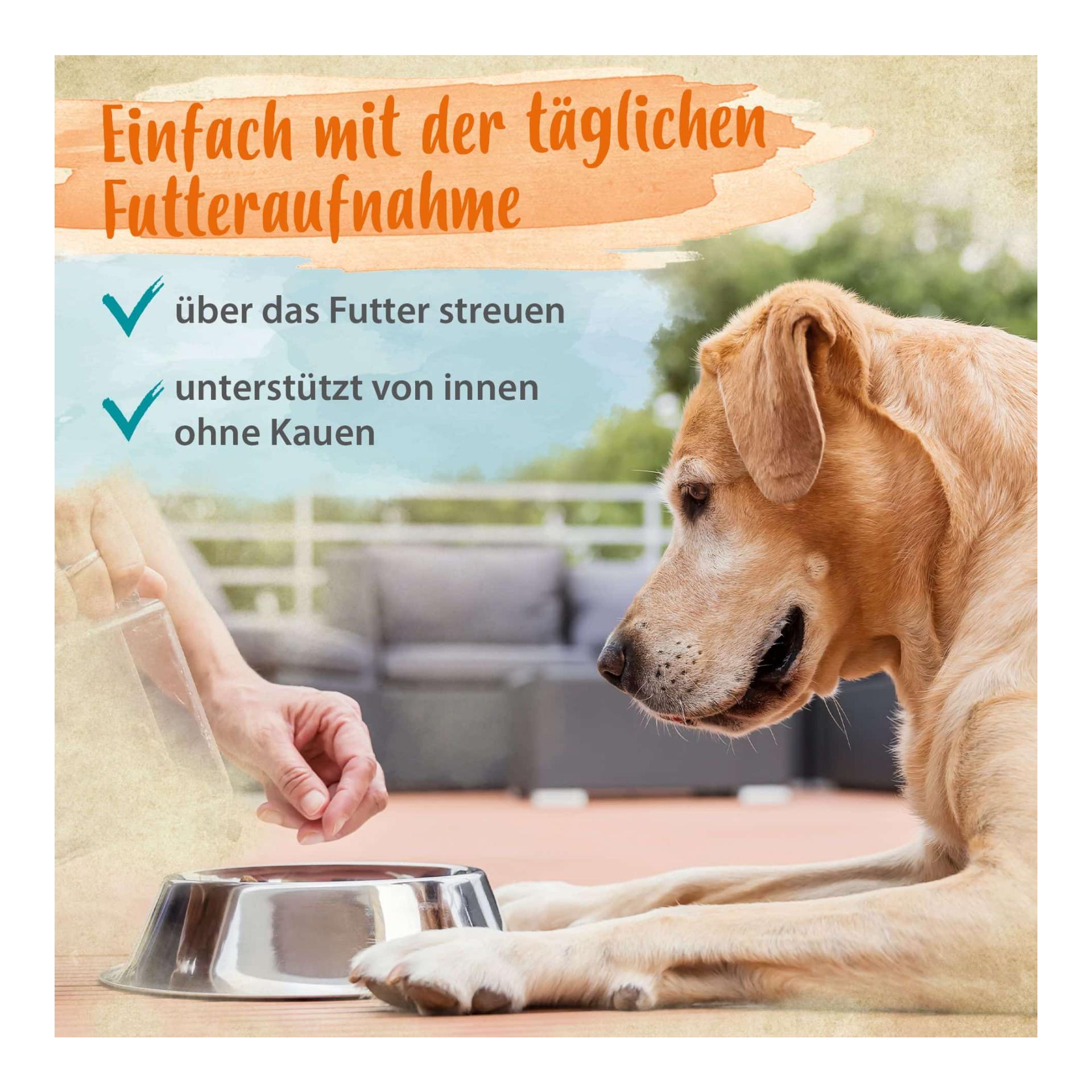 IdaPlus Denta Dog - soin simple pour la dentition du chien - met fin à la mauvaise haleine