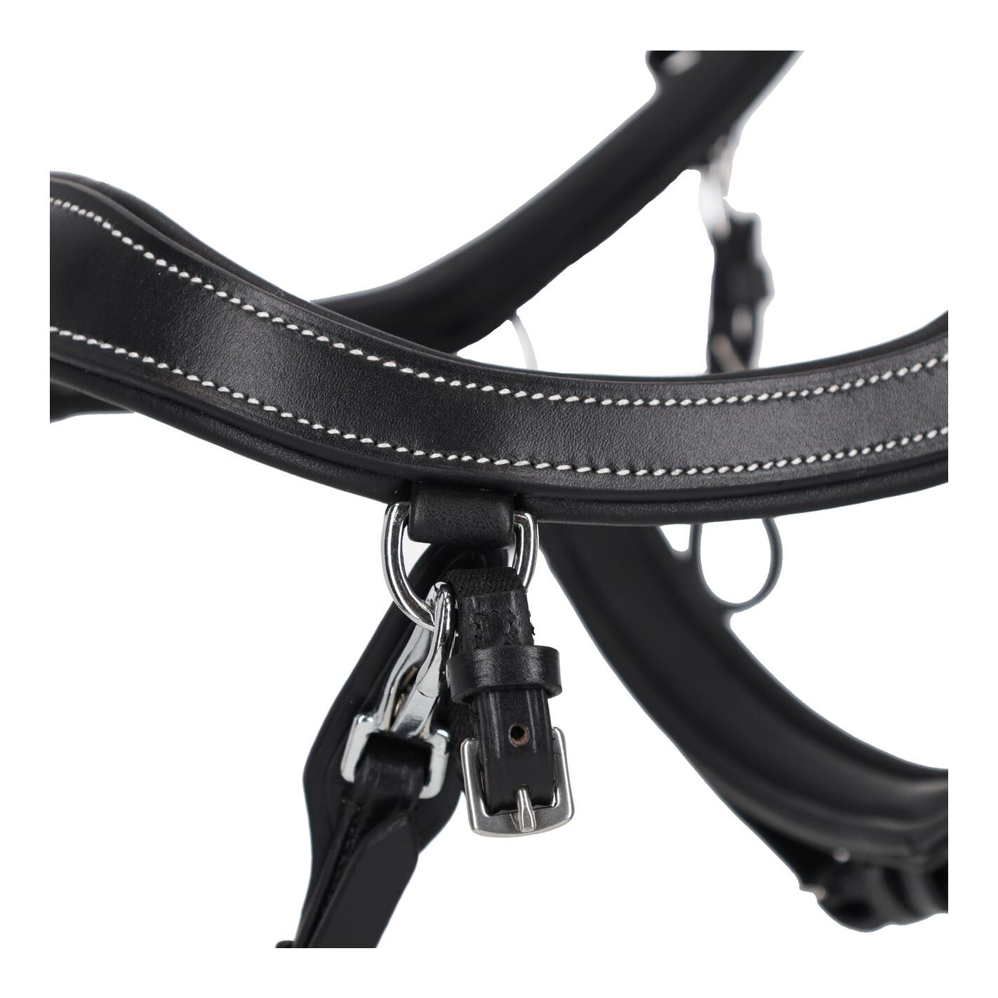 PresTeq Zaumzeug FaySport Classic