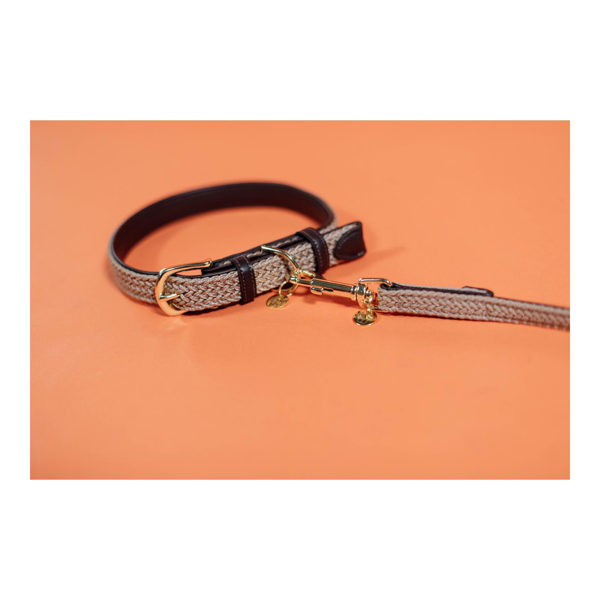 Kentucky Dogwear Collier pour chien en nylon tressé