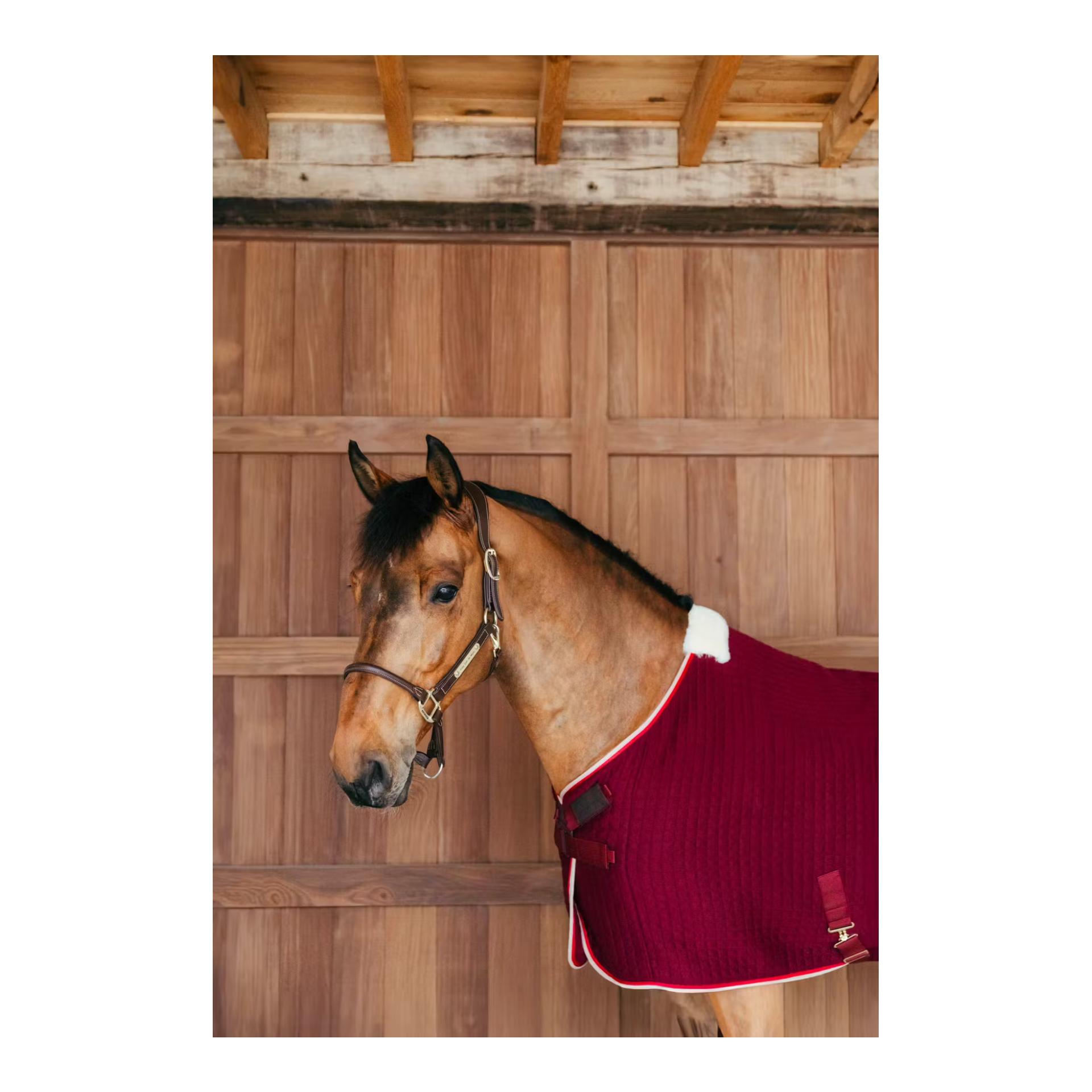 Kentucky Abschwitzdecke PROtherm