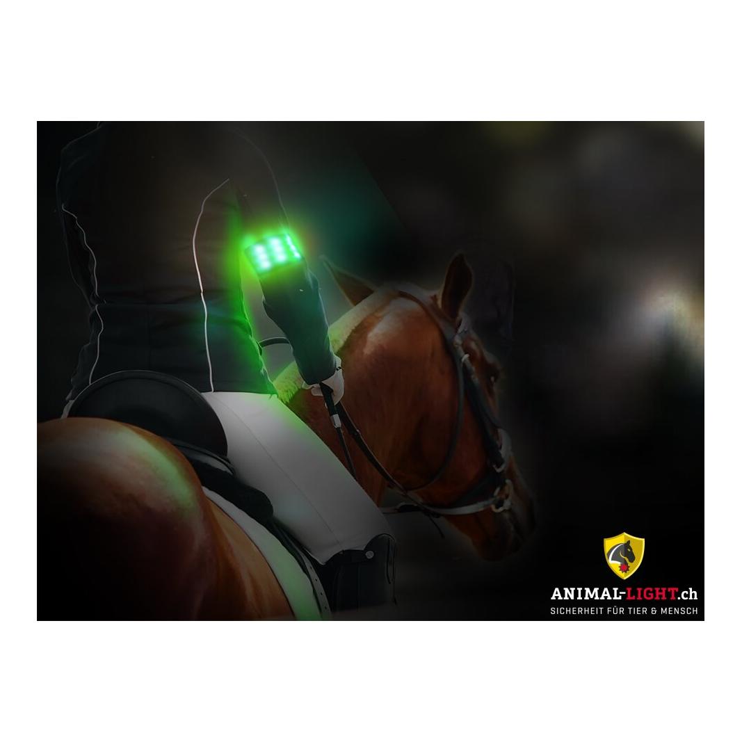 Animal Light Leuchtgamaschen und Armbinde von Animal Light im Set
