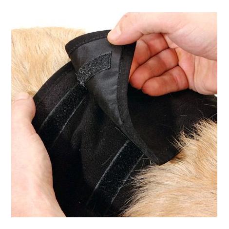 TRIXIE Pantalon de protection pour chien mâle