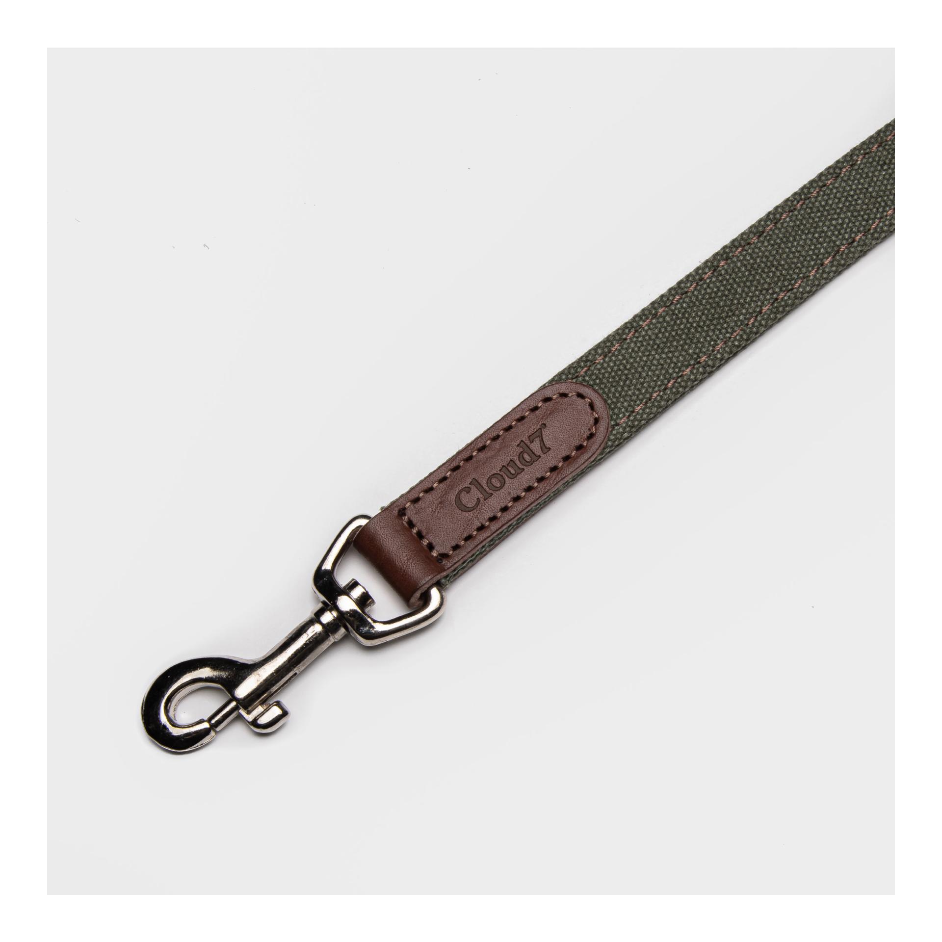 Cloud 7 Laisse pour chien Tivoli - olive