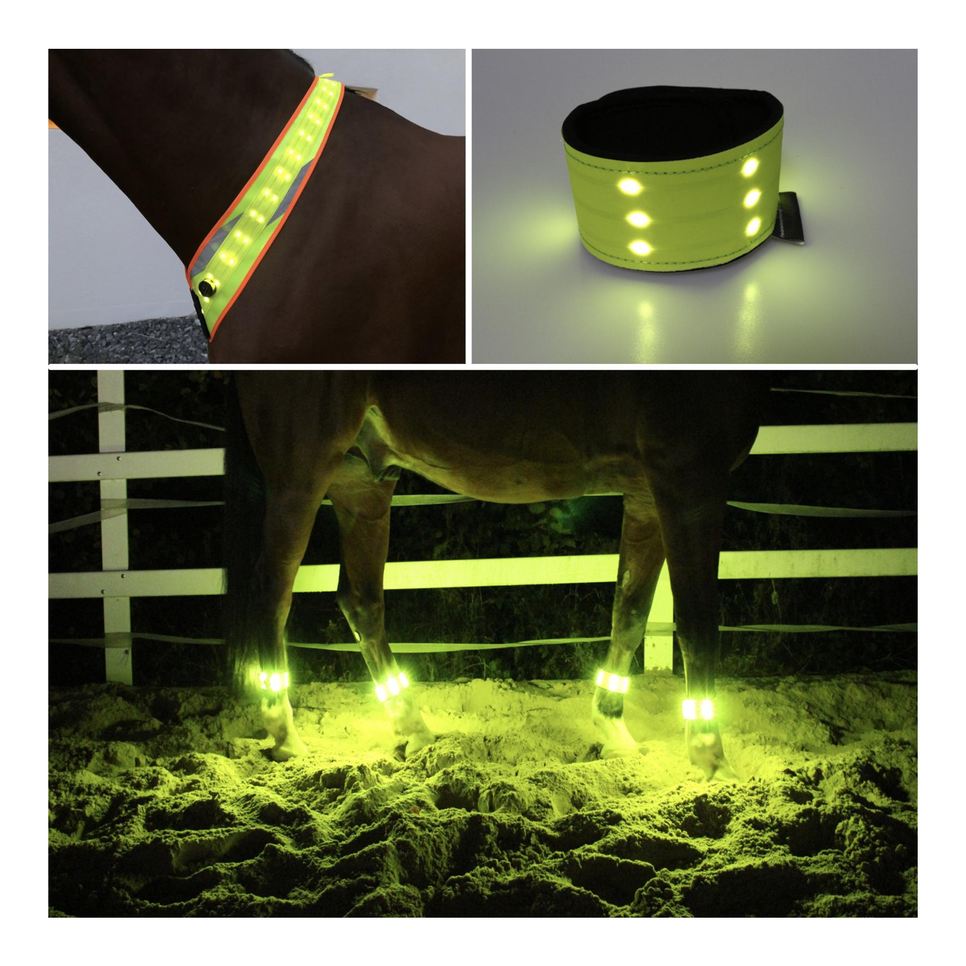 Animal Light Leucht Set