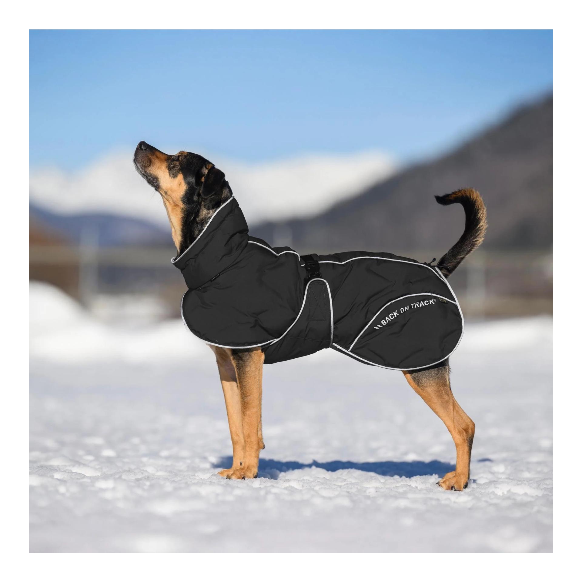 Back on Track BAY Winter-Hundemantel, 120 g, Hoher Rutenansatz