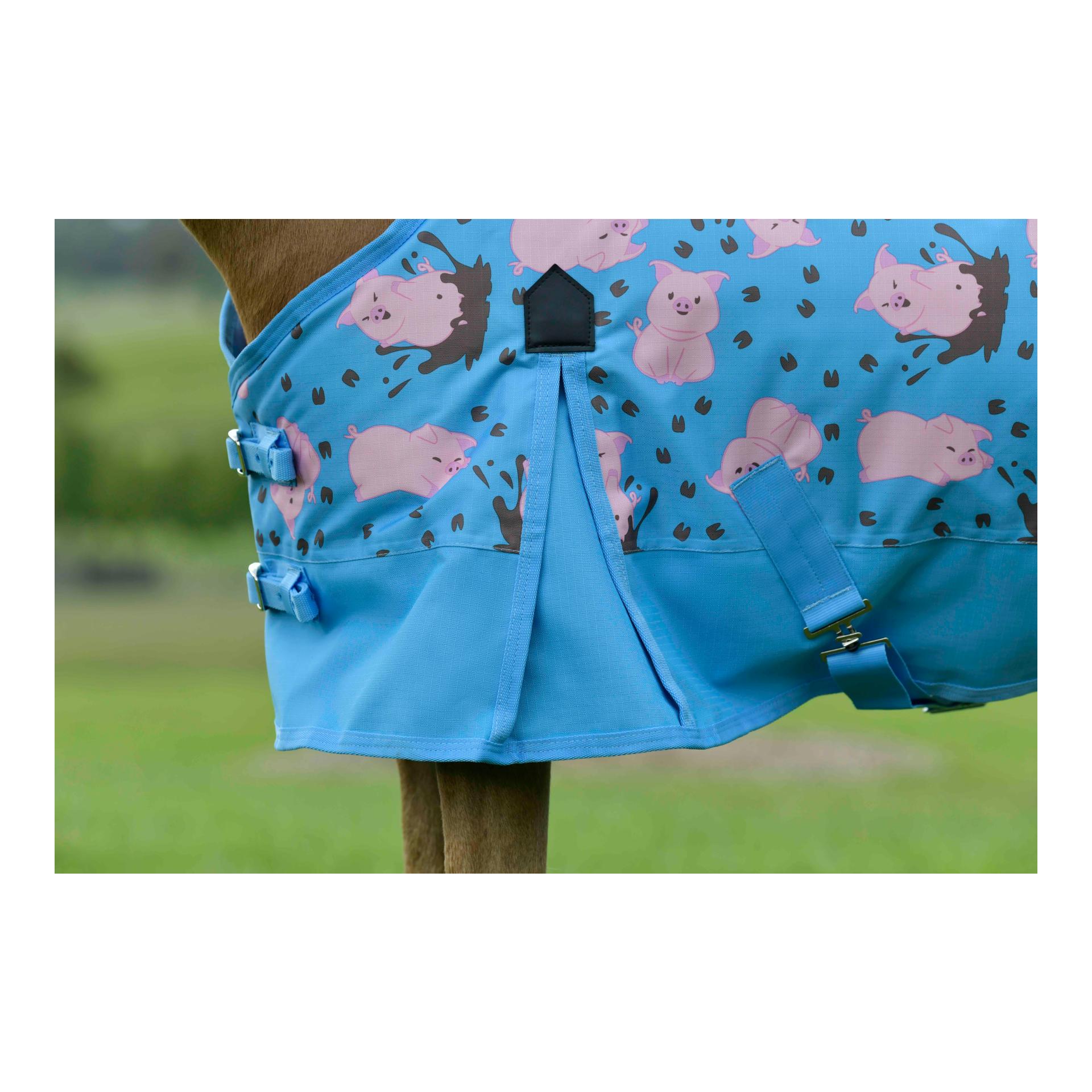 Couverture de poney 180g
