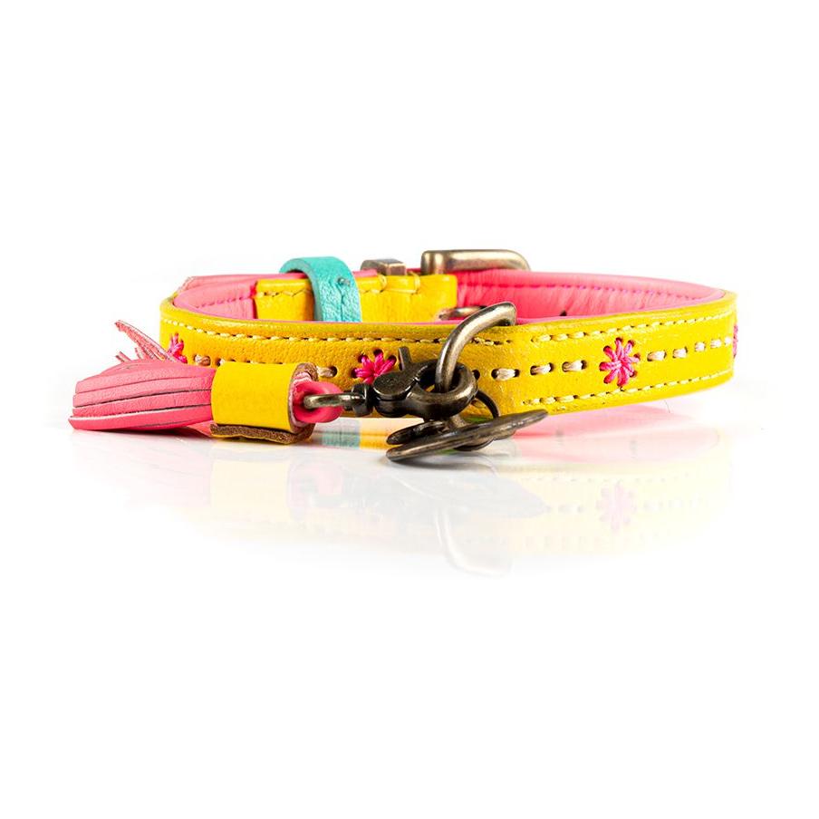 Jessy Hundehalsband