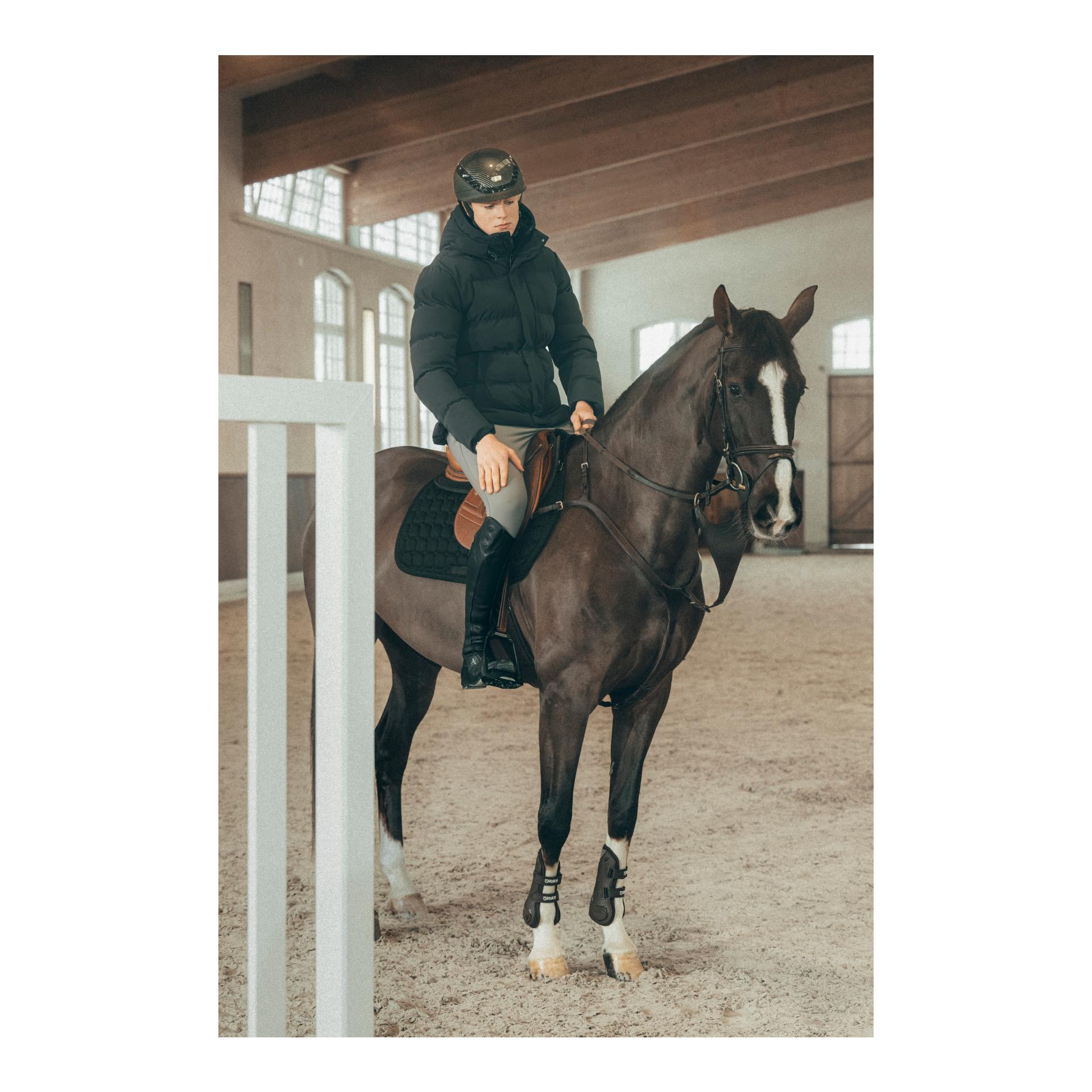 Pikeur Athleisure Winterjacke gesteppt Herren