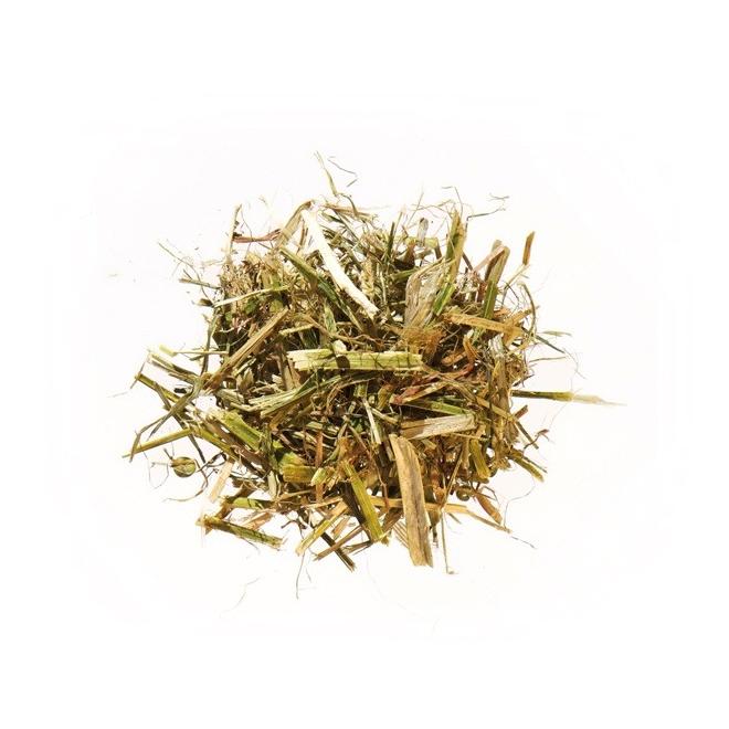 Agrobs Luzerne +