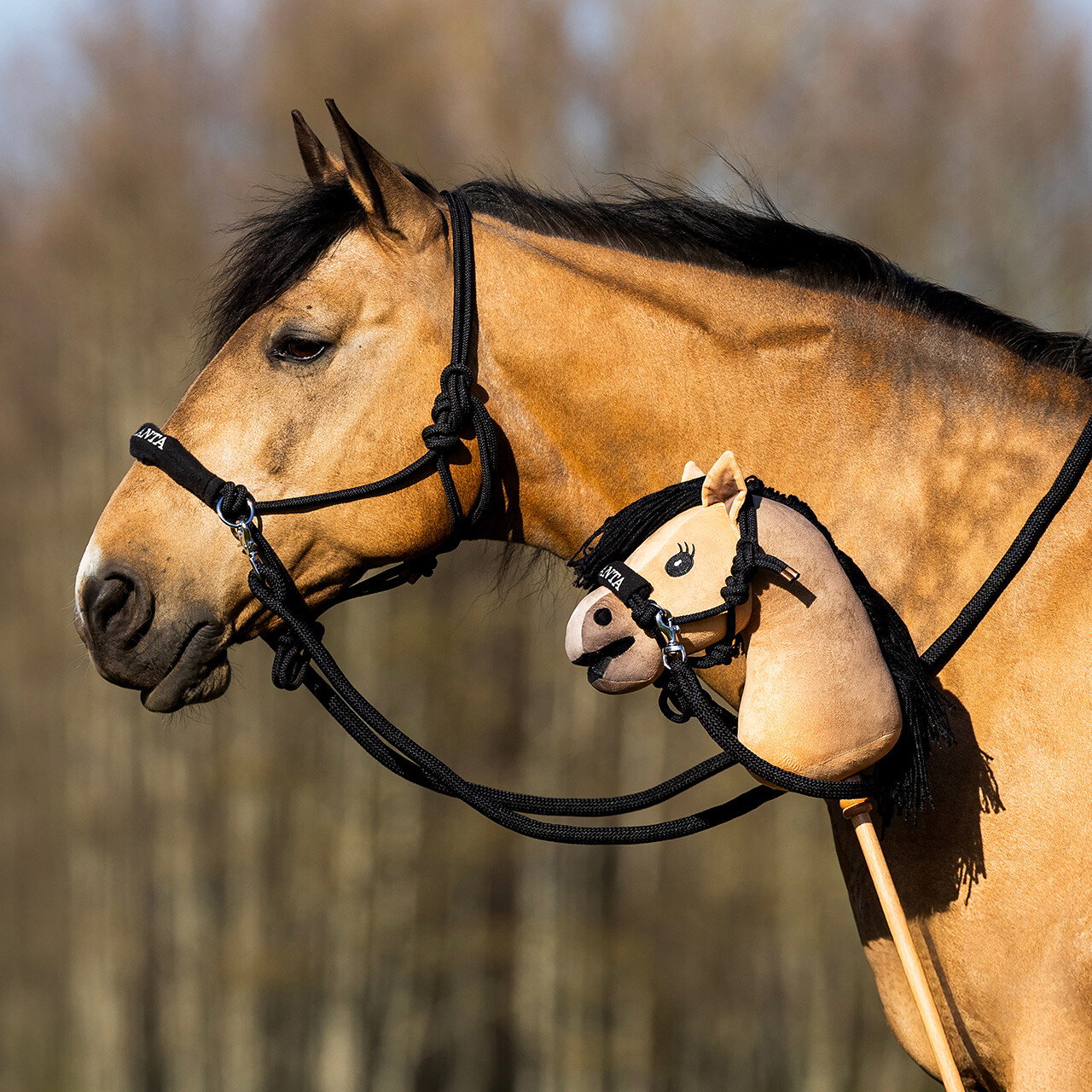 QHP Nalanta Knotenhalfter mit zügel Hobby horse