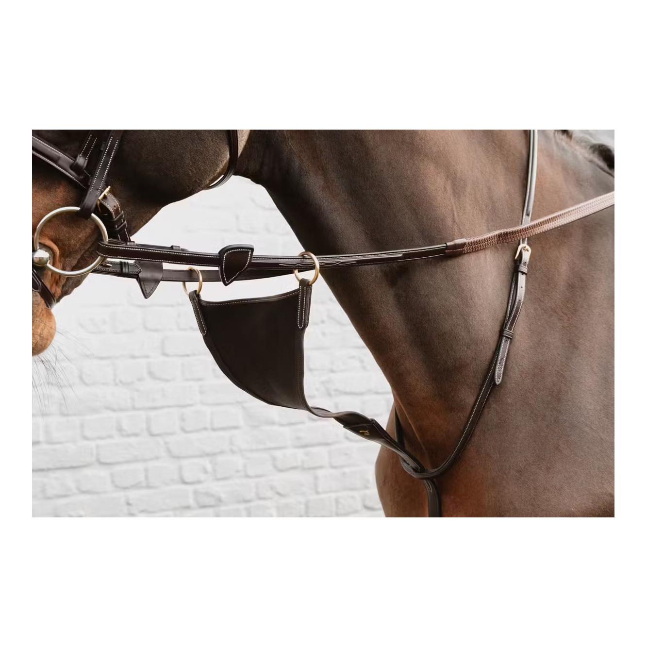 Dy'on Geschlossene Elastische Martingal