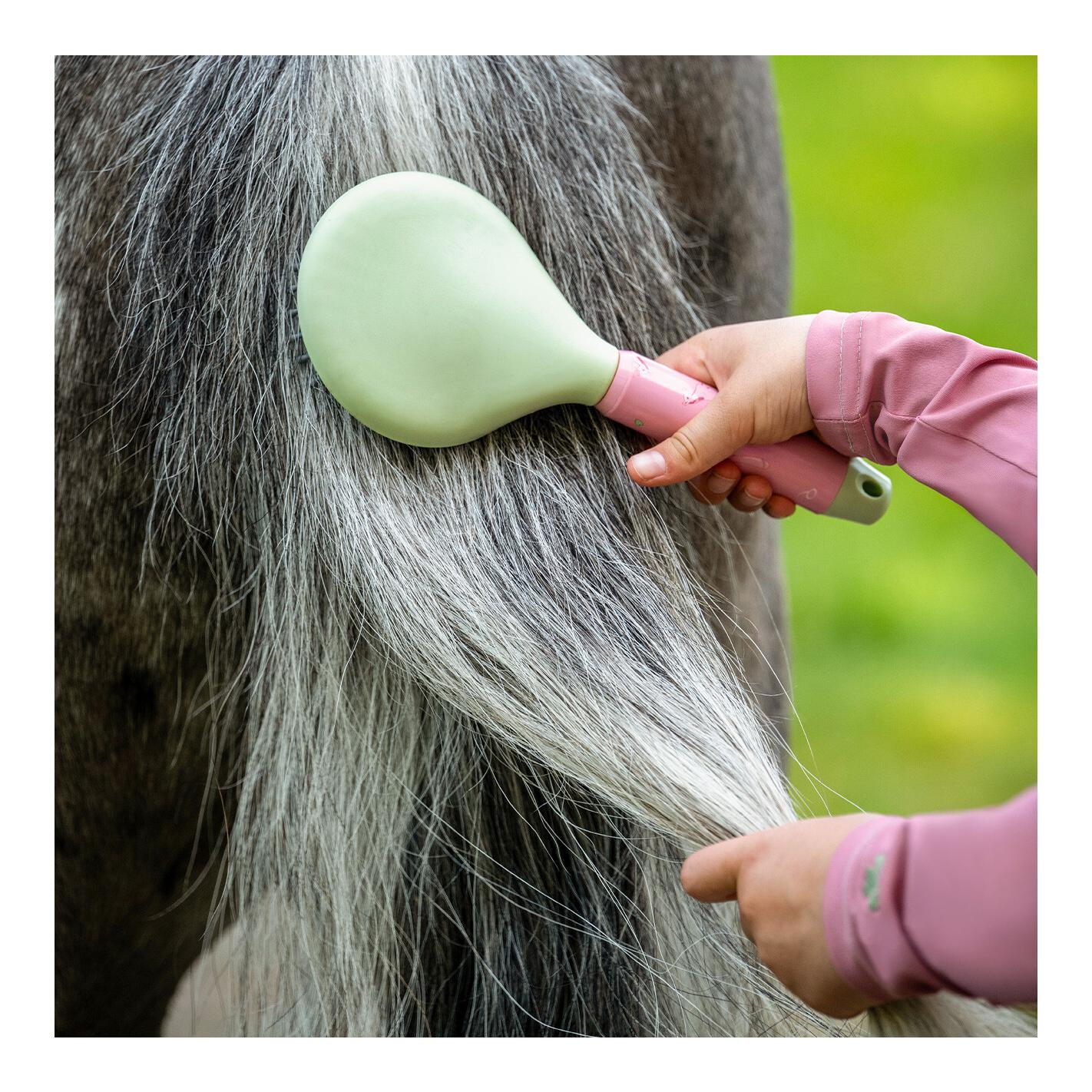 QHP Kit de brosses Lucky Start