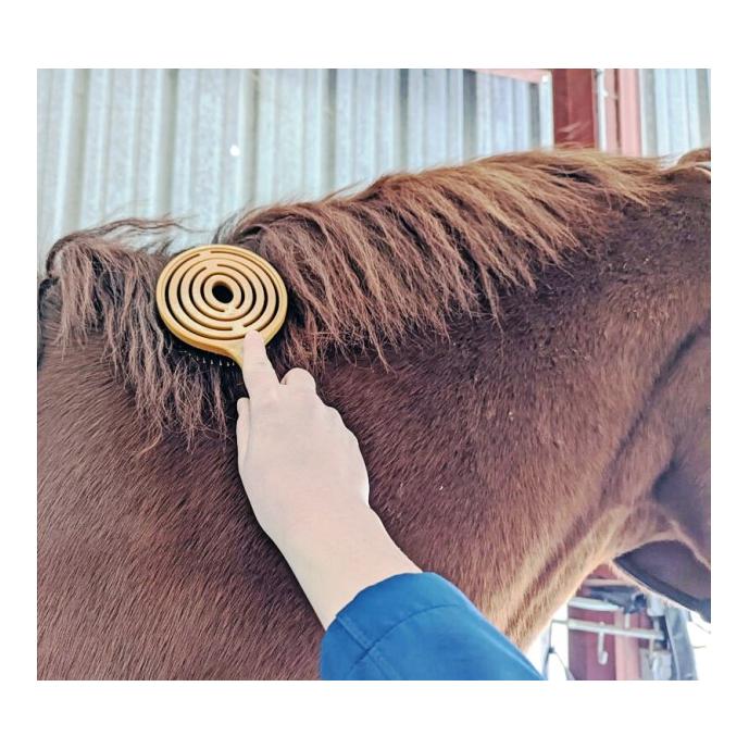 equitrade Bürste Epona 'Queens Brush'