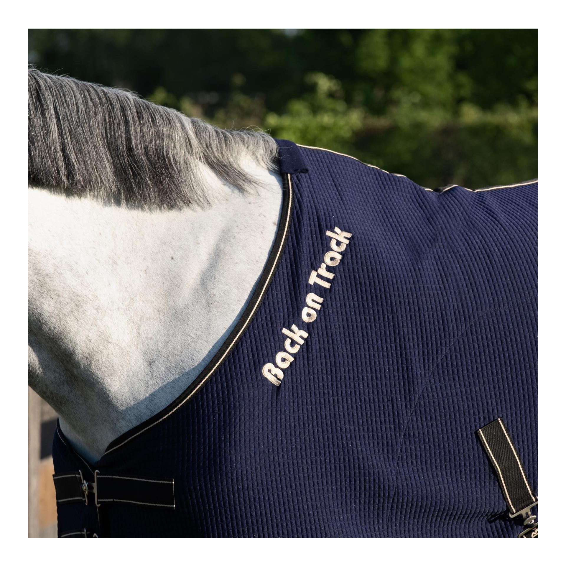 Back on Track Abschwitzdecke Quick Cooler