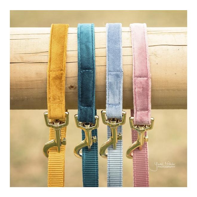 Kentucky Dogwear Hundeleine Velvet - emerald