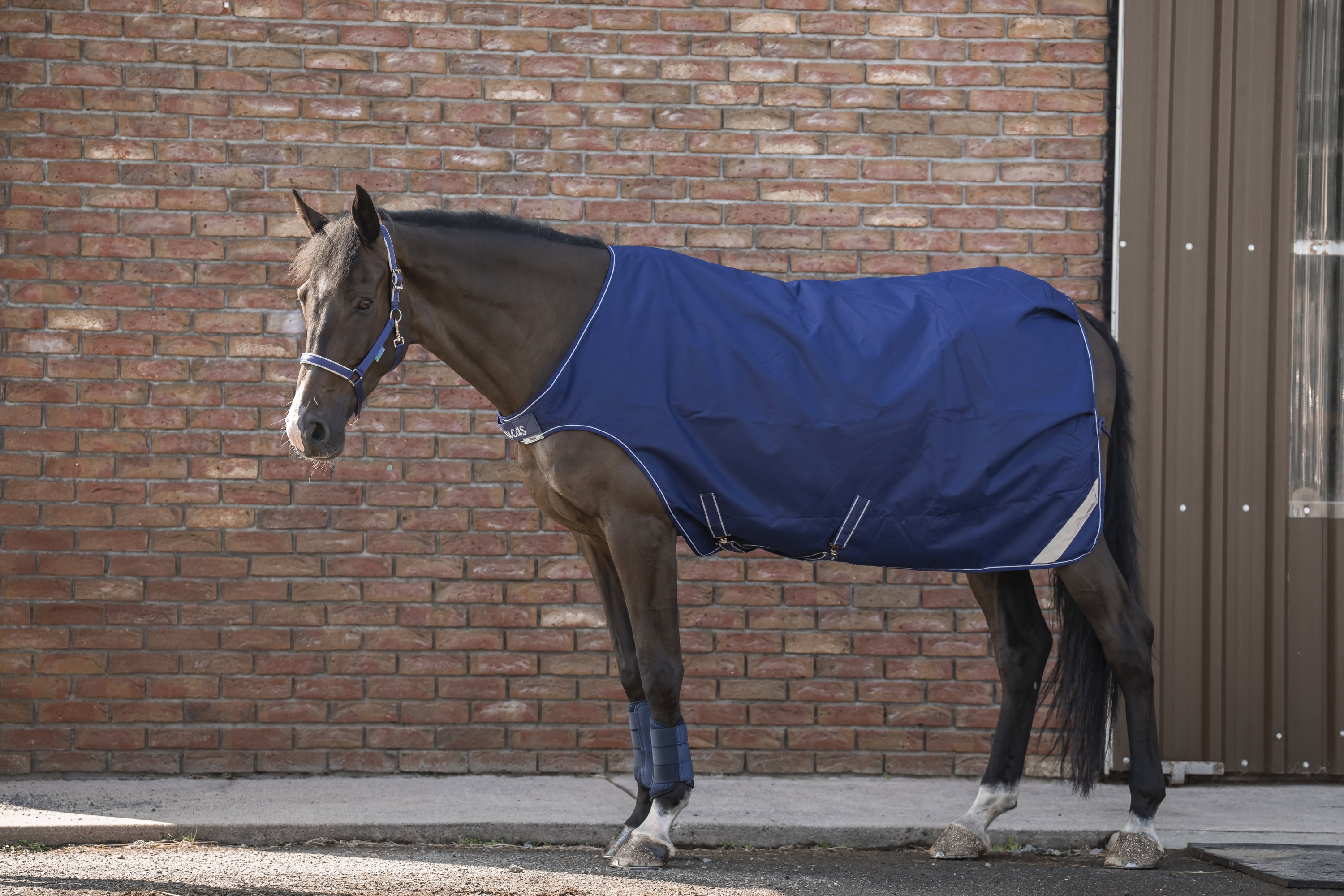 Bucas Walkerdecke - navy