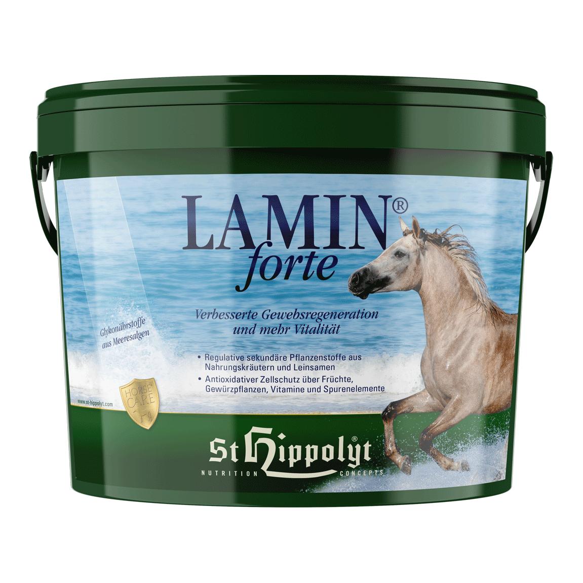 St. Hippolyt Lamin forte