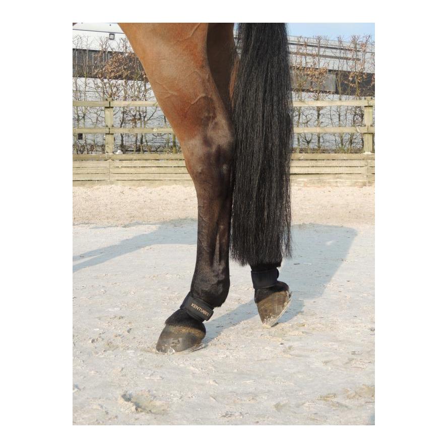 Kentucky Fesselschutz, Paar - schwarz