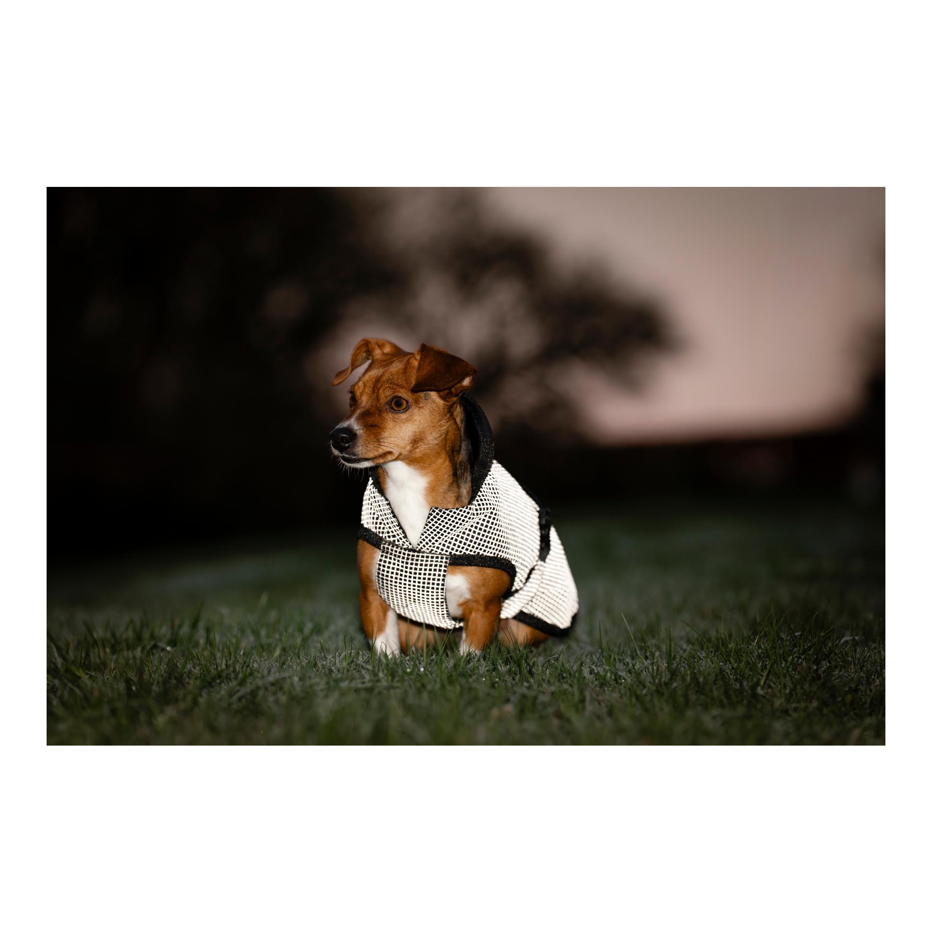 Bucas Hundedecke Refelctglow
