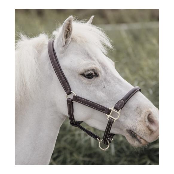Kentucky Pony Lederhalfter - braun