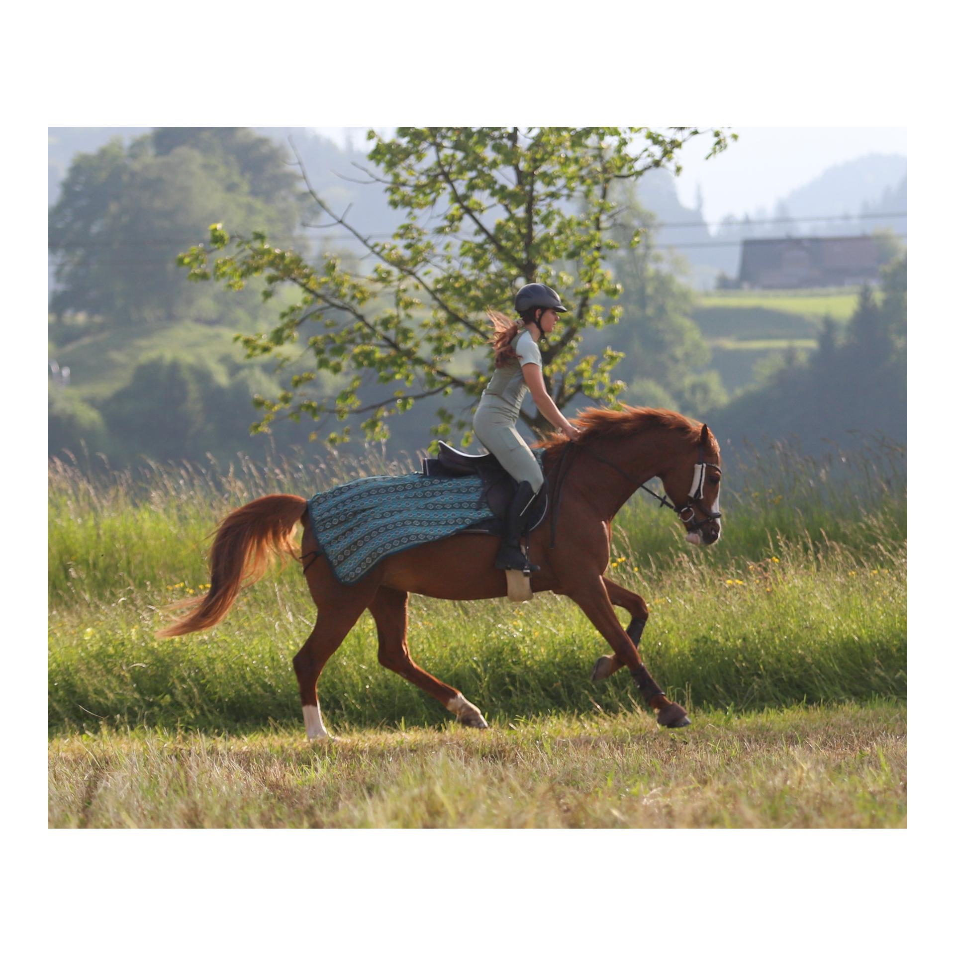 Stallone Reit-Fliegendecke Summer Stroll
