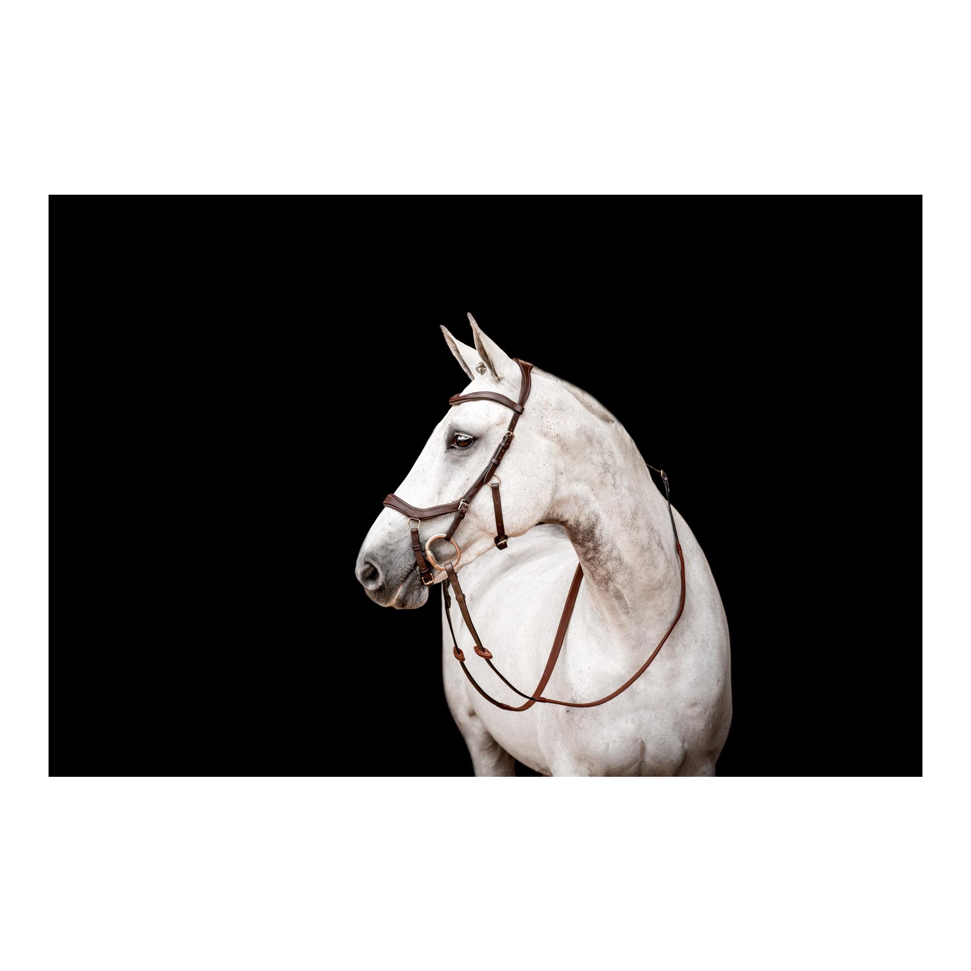 Horseware Bridon Micklem3 Compétition sans rênes