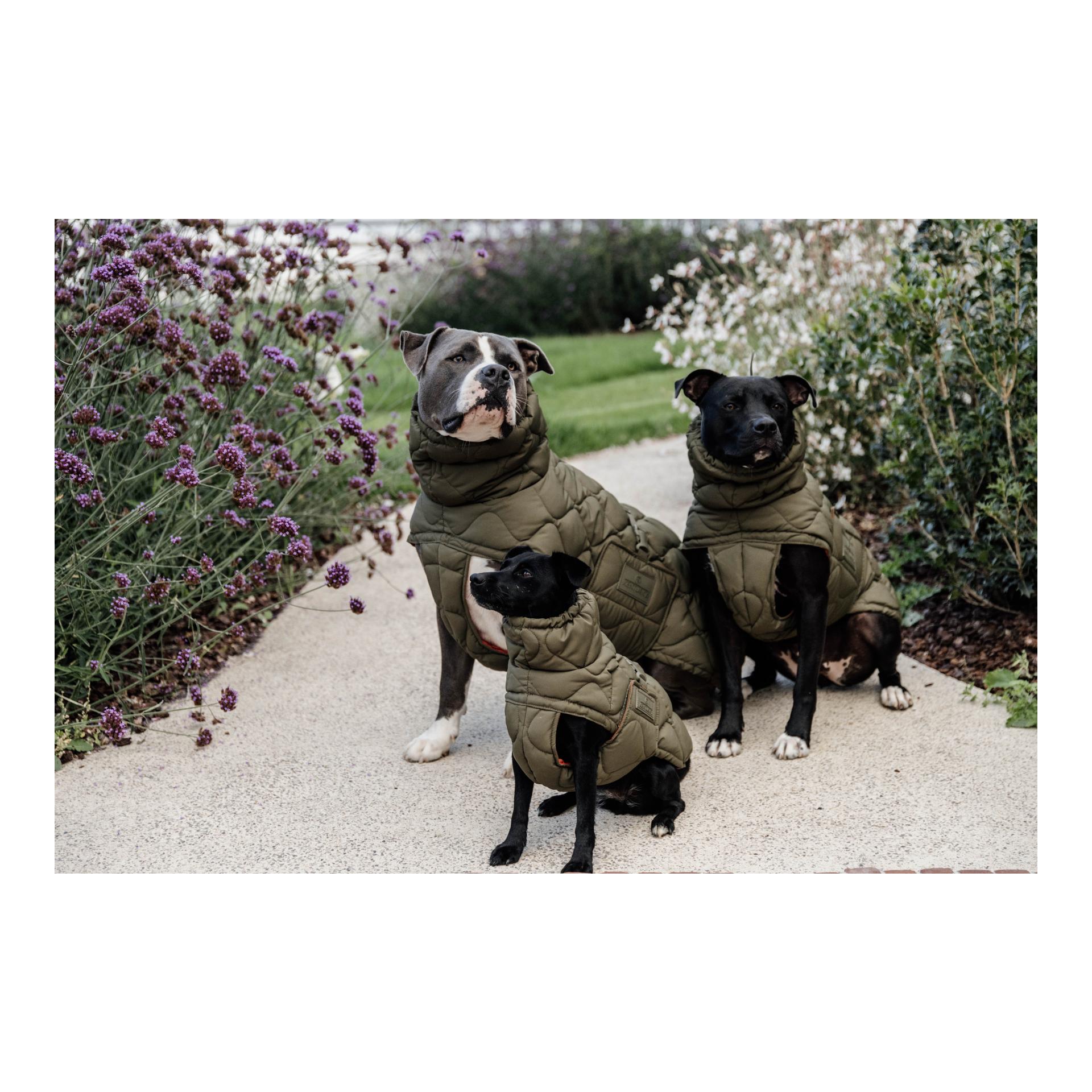 Kentucky Dogwear Manteau pour chien Pina - 160 g