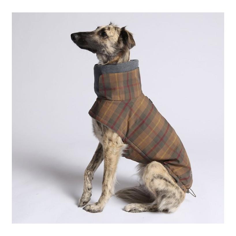 Cloud 7 Hundemantel Brooklyn Regulär - waxed tartan