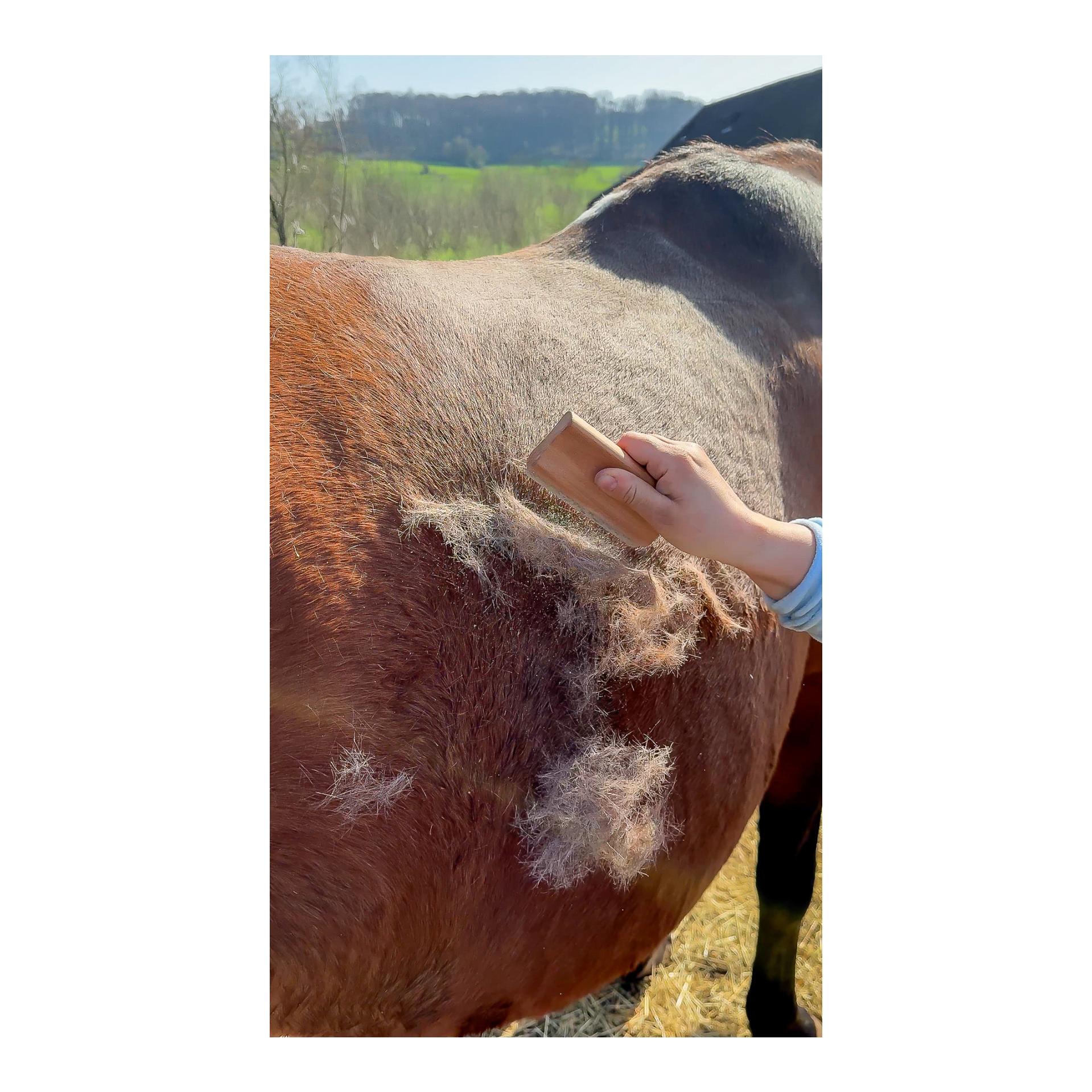 Grooming Deluxe Easy Grooming Fellwechselbürste