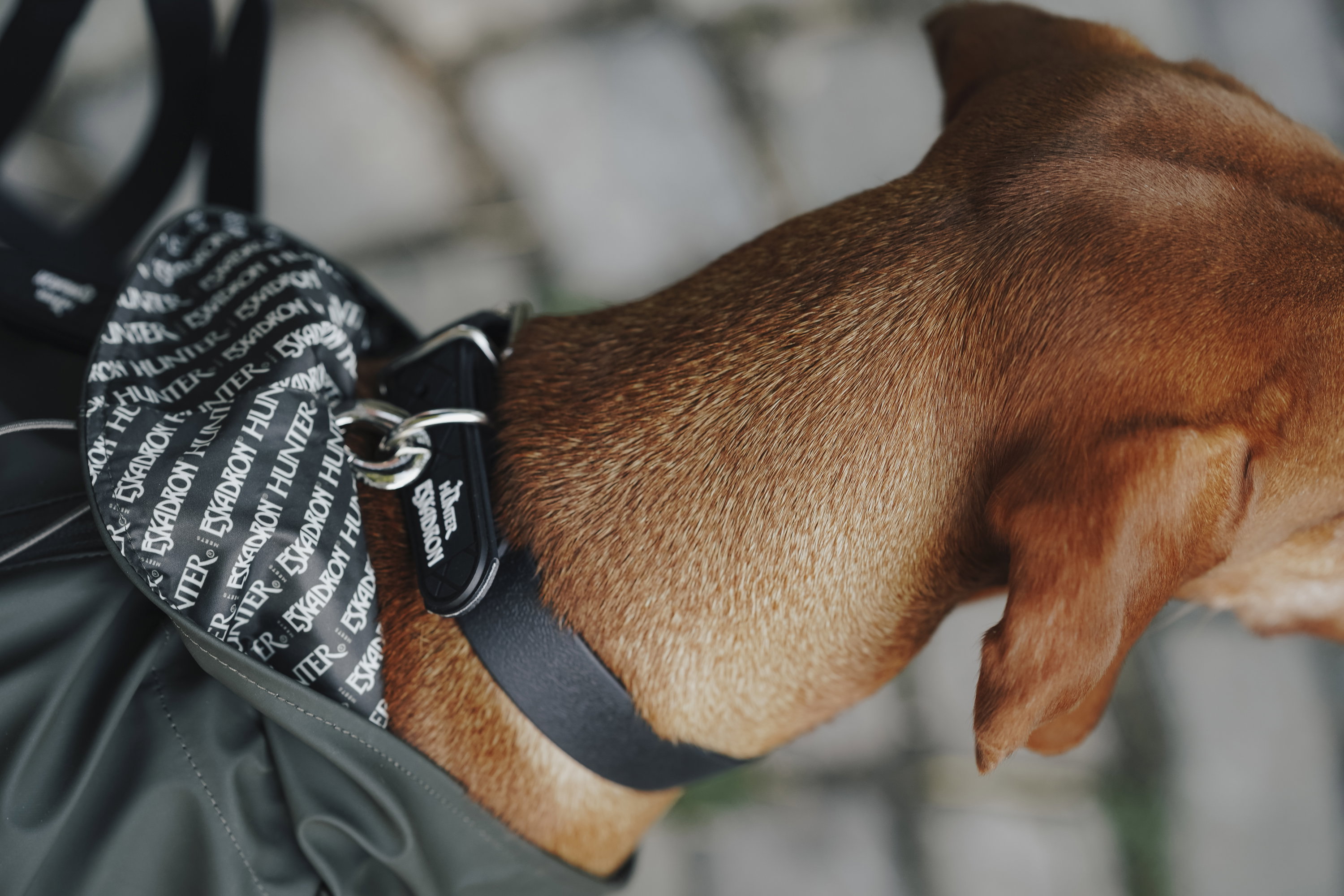 Eskadron Hunde Regenmantel Rainshield HUNTER