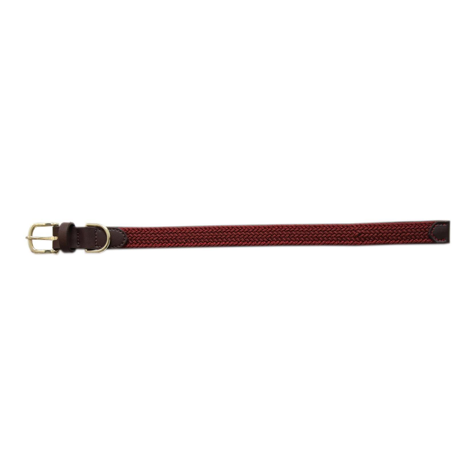 Kentucky Dogwear Collier pour chien en nylon tressé - bordeaux