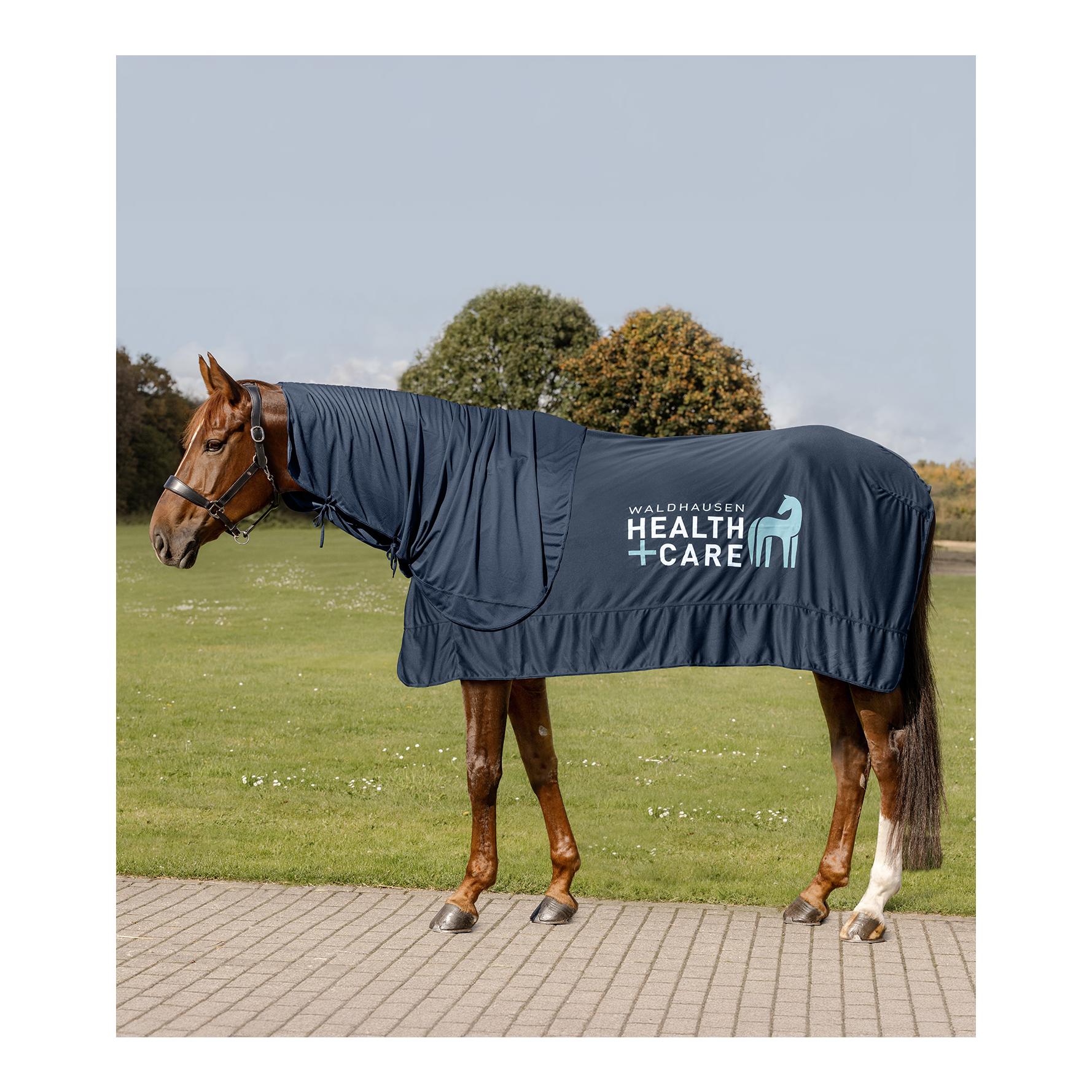 Health + Care Waldhausen Health & Care Ice Layer Halsteil
