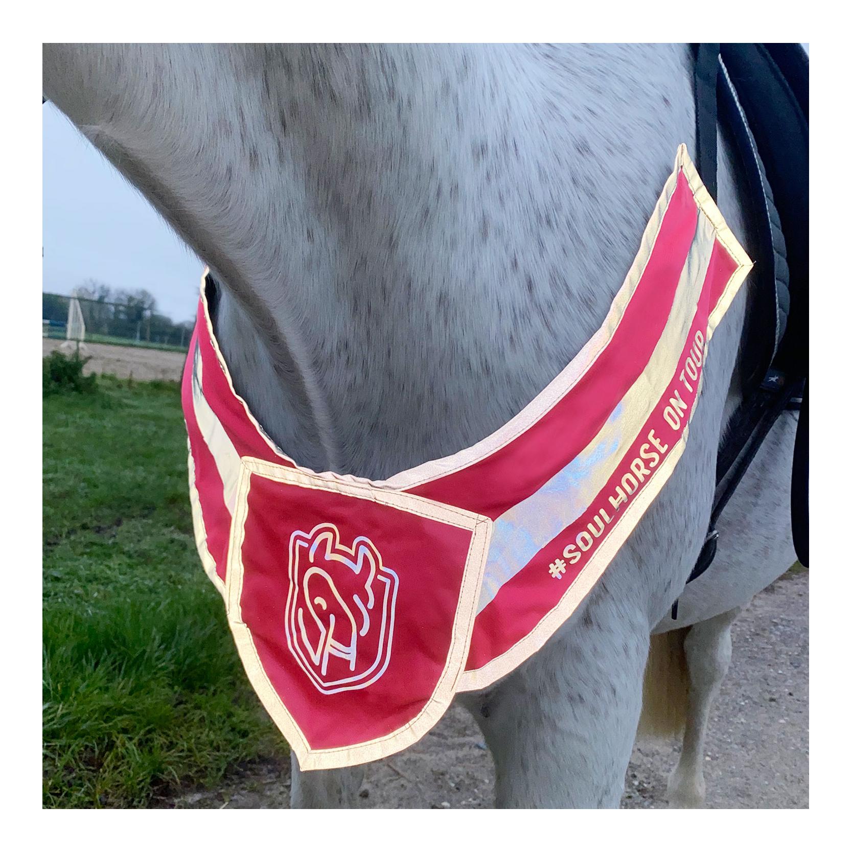 Soulhorse Kit d'éclairage avant