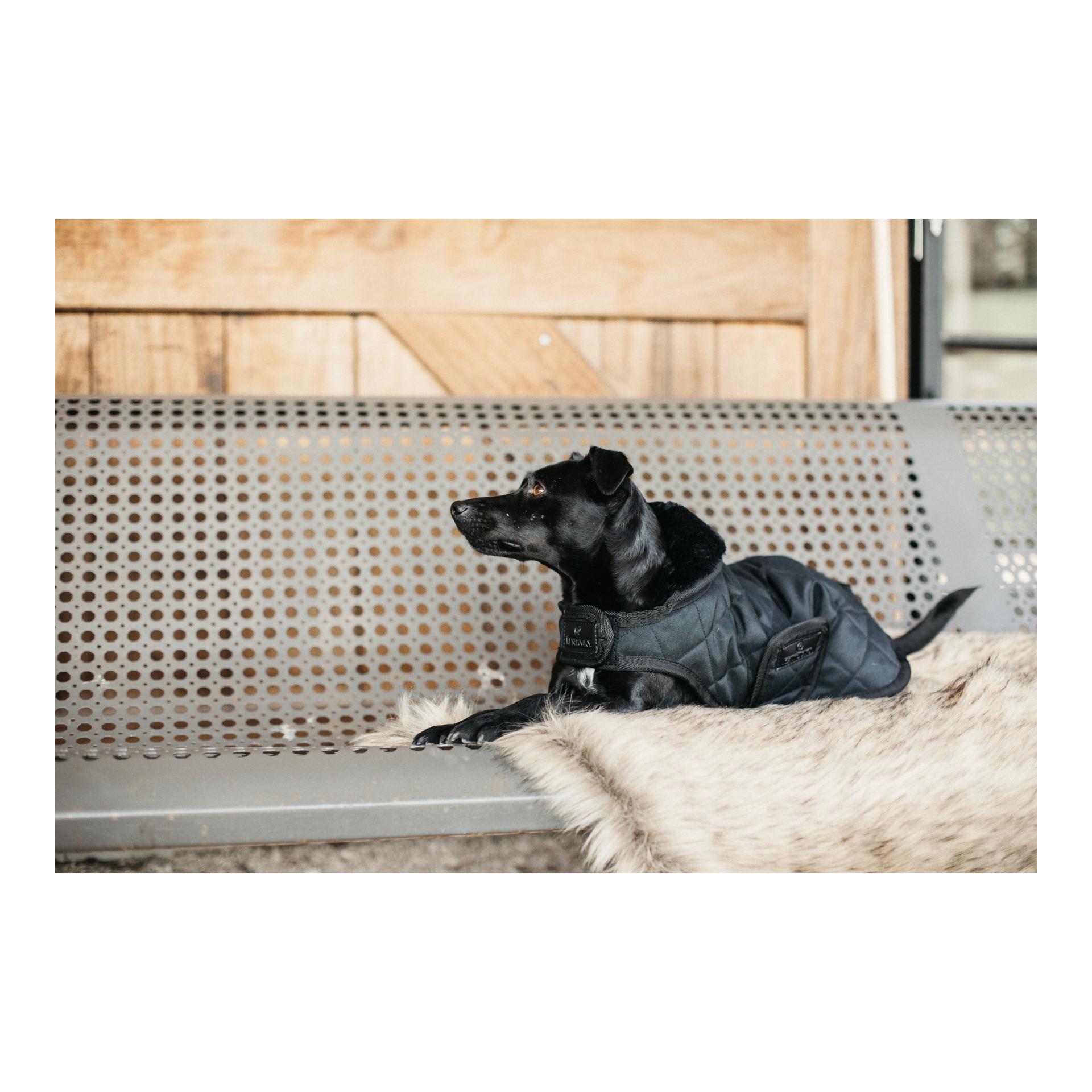 Kentucky Dogwear Hundemantel Original - black/black