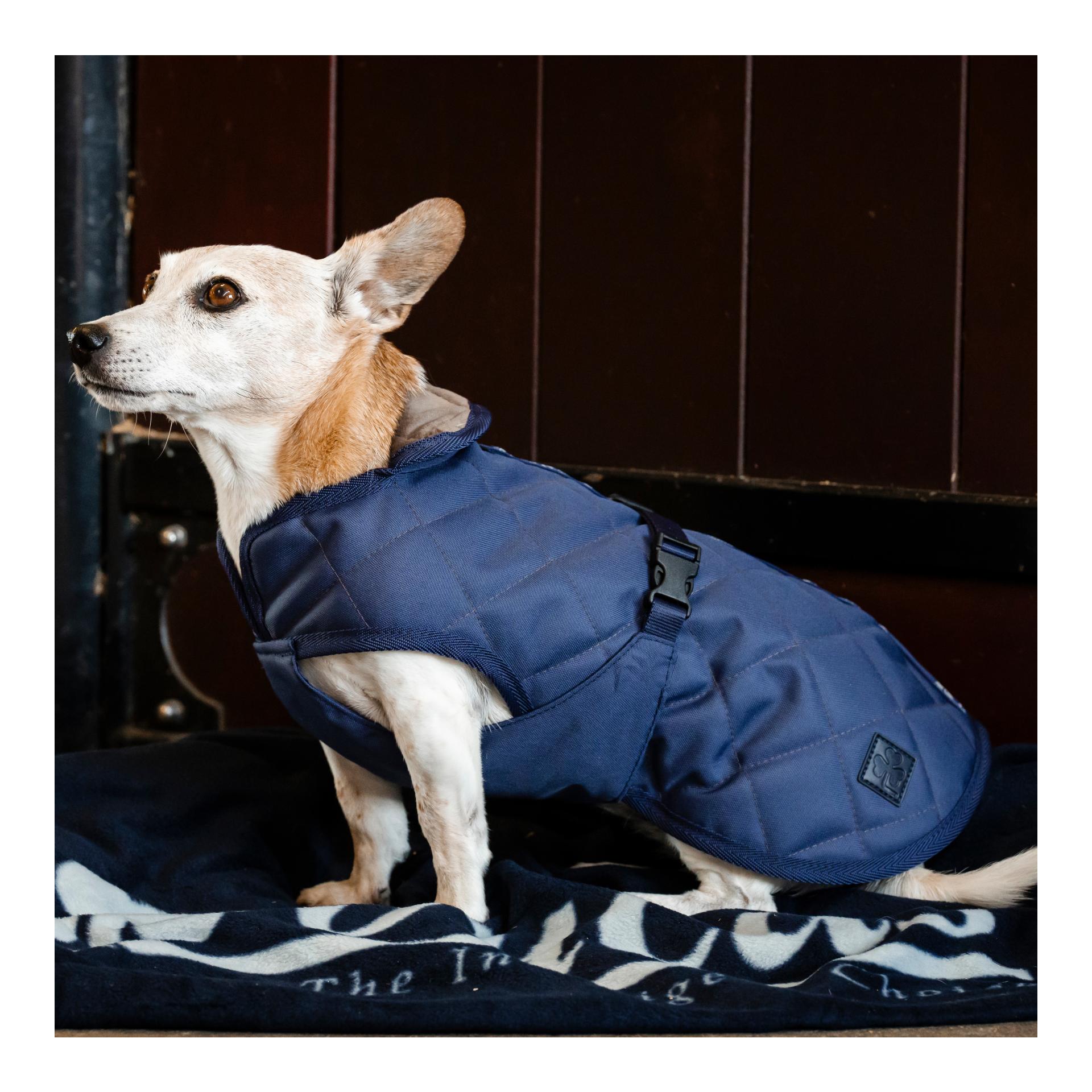 Bucas Hundedecke  Freedom Cosy