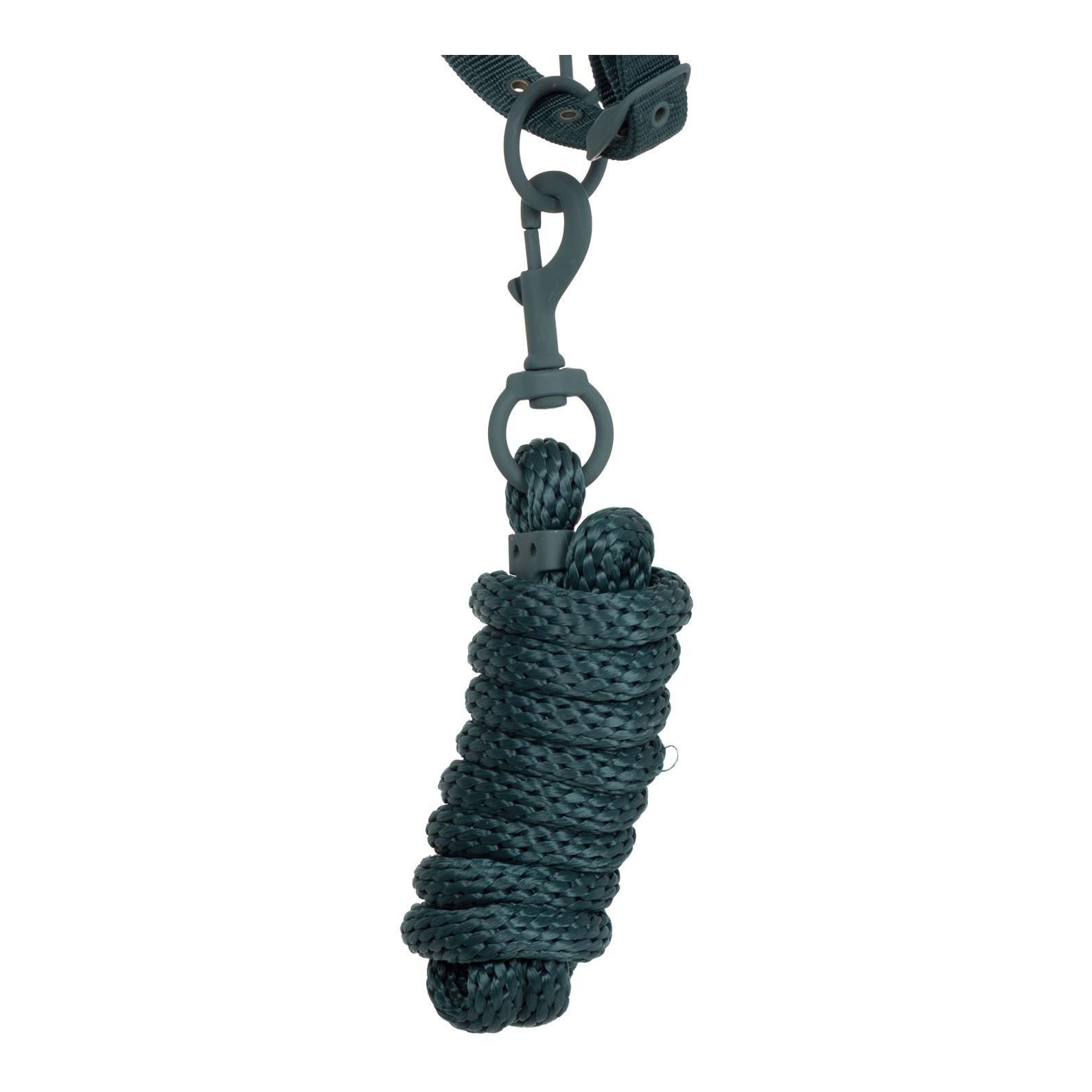 Equestro Licol avec boucles recouvertes de caoutchouc