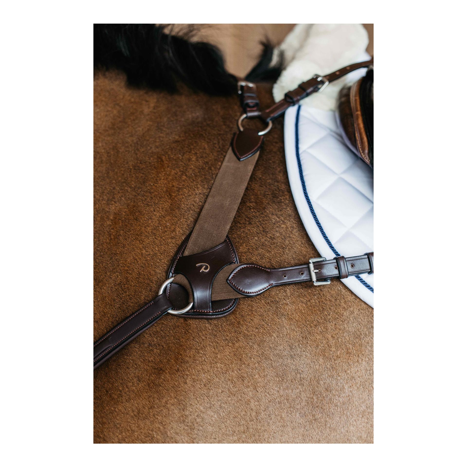 Dy'on Vorgeschirr 5 Punkt mit Elastic New English Collection