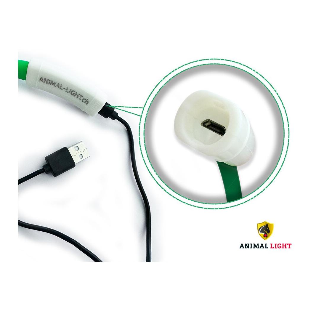 Animal Light Leucht-Halsriemen Flex