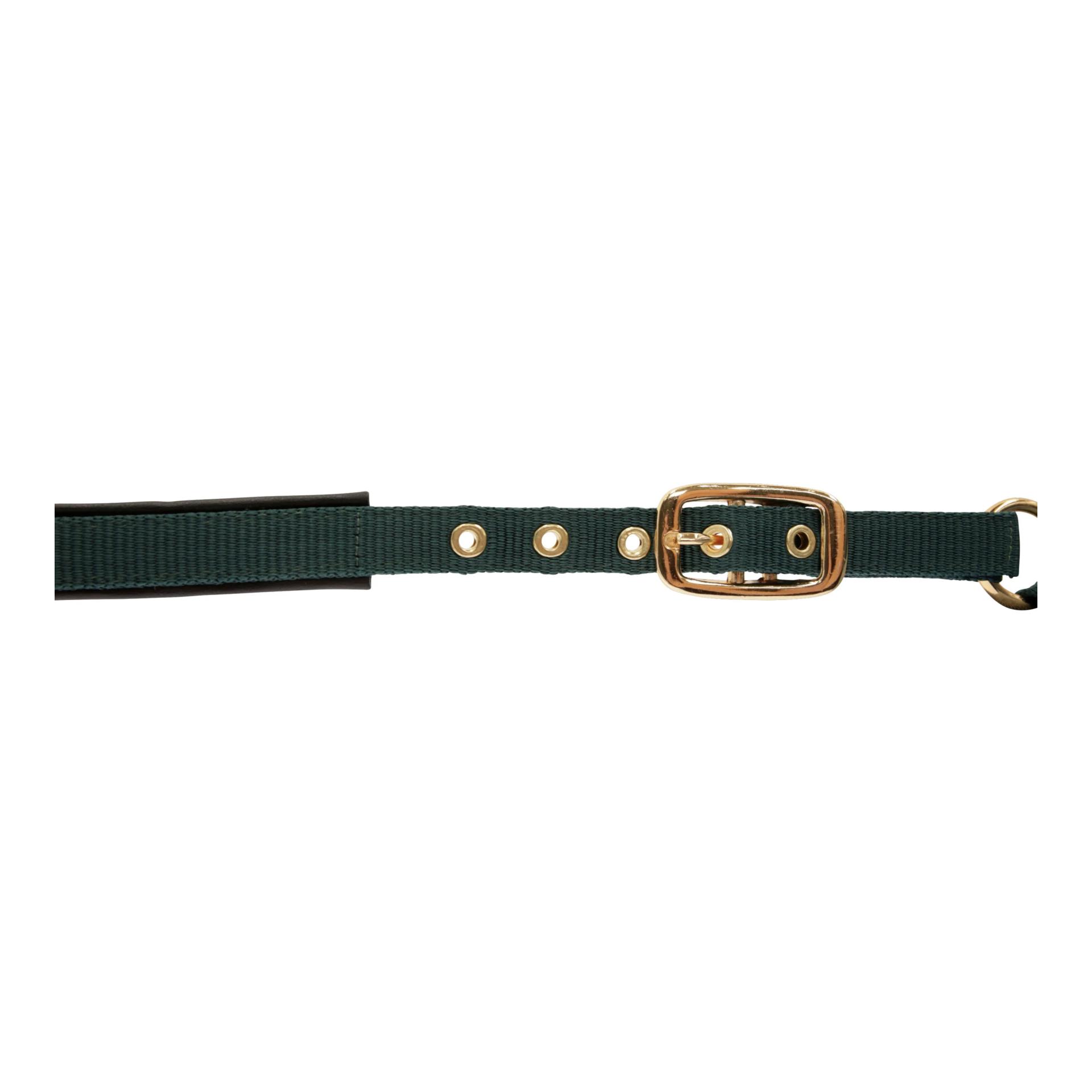 Kerbl Fohlenhalfter TopLine