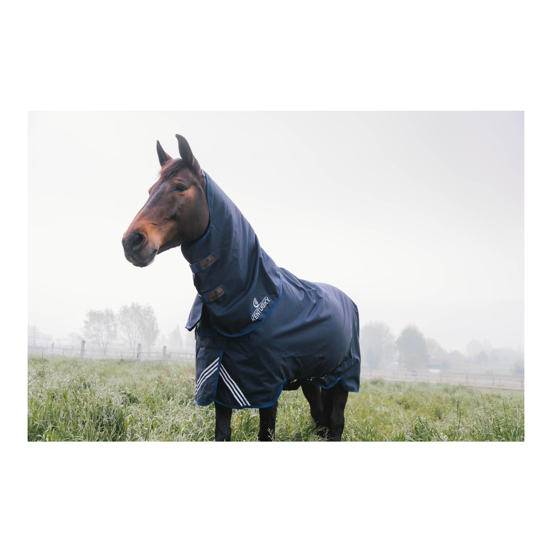 Kentucky Weidedecke all Weather waterproof Comfort 100g und Halsteil all Weather waterproof Comfort 100g Set