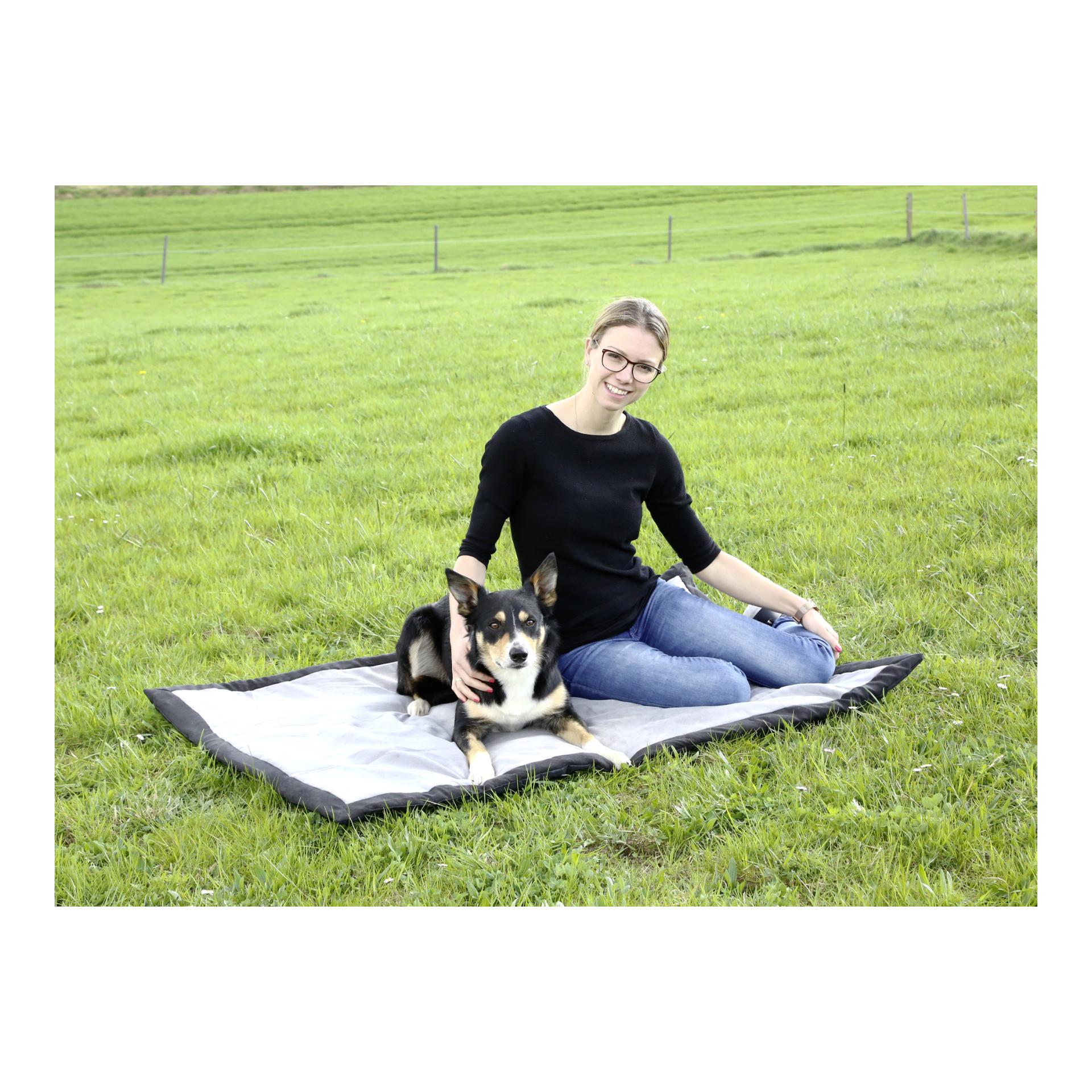 Kerbl Pet Tapis pour chien Trip - gris/noir